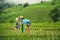 Mother kiss daughter enjoyed the rice terraces mountain view