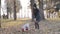 Mother and little child in an autumn park throw dry leaves up, happy family, live fun with mom, nature walk. Slow motion