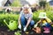 Mother and little daughter planting vegetable in