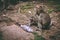 A mother macaque and her baby sitting near the temples of Angkor Wat in Cambodia