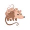Mother Opossum with Its Babies, Family of Opossums Vector Illustration