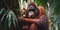 A mother orangutan cradling her baby
