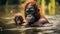 mother orangutan gently washing her curious infant