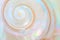 Mother of pearl sea shell close up background