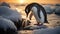 a mother penguin carefully preening and cleaning her fluffy chick on a rocky