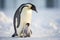 Mother penguin with her offspring. Generative AI