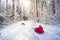 Mother pulling baby on a sled through winter forest.