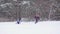 Mother pulling child on sled through snow. Slow motion