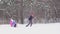 Mother pulling childrens on sled through snow in winter forest. Slow motion