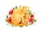 Mother`s day card - cat mom and kitten in flowers. Greeting card with lovely animals. Watercolor for mother