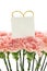 Mother`s Day, carnations, pink carnations,