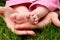 Mother\'s hands cradling her infant