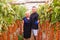 Mother and son check harvest of cherry tomato in greenhouse family business