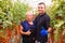 Mother and son check harvest of cherry tomato in greenhouse with thumbs up. family business