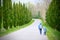 Mother and son holding hands run through a driveway lined with cypresses backpacking along a journey together for life