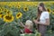 Mother and son are looking at blooming sunflowers in the field. Study of nature. Summer outside the city