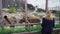 Mother and son are near cage with bears at the zoo