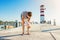 Mother with son on pier at the lighthouse, sunny summer