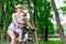 Mother and son ride a Bicycle, mother carries a child in a child`s chair on a Bicycle in the Park in the summer