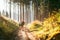 Mother and son with their family member beagle dog walking by the trekking path with backpacks under the evening sun light