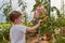 Mother and son in the tomato hothouse