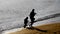 Mother and Son Walking on the Beach