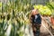 Mother and son watching plants in greenhouse.