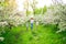 mother with sons walks in flowering garden.