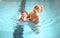Mother teaching child daughter swimming pool