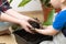 Mother teaching son botany - both holding hands filled with soil and sprouts. At home hobbies and gardening concept