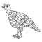 Mother Turkey Isolated Coloring Page for Kids