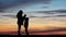 Mother with two children silhouettes, baby play with bigger brother, sunset sky