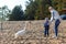 Mother and two twin brothers feeds the swans