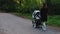 Mother walking with a pram in the park.