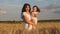 Mother walks with the baby in the field hold spikelets with wheat in hand. Mom and little daughter walk on a field of