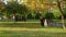 Mother walks with his lovely cute infant daughter on autumn lawn in pictorial city park with trees and fallen yellow leaves