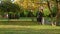 Mother walks with his lovely cute infant daughter on autumn lawn in pictorial city park with trees and fallen yellow leaves