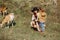 Mother walks with little daughter near a herd of goats in autumn