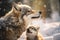 Mother wolf and wolf cubs in winter snow. Generative AI