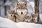 Mother wolf and wolf cubs in winter snow. Generative AI