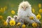 Motherly Love: A Silkie Hen Sheltering and Nurturing Her Fluffy Chicks in a Vibrant Springtime Scene