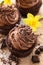 Mothers day chocolate cupcakes with spring flowers