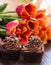 Mothers day chocolate cupcakes with spring tulips