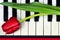 Mothers Day gift, Mothers Day flower on piano keyboard