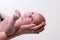 Mothers hand holding a baby head