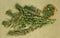 Motherwort. Dry herbs. Herbal medicine, phytotherapy medicinal h