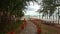 Motion along Path by Flower Pots to Terrace with Swimming Pools