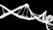 Motion Background Digital Polygon Plexus DNA molecule 4k Loop Alpha Matte