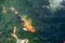 Motion blur of colorful carp fish or koi fish in a garden pond in Thailand, Abstract top view of colorful fancy carp fish