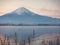 Motion blur from duck floating on lake foreground and fuji moun